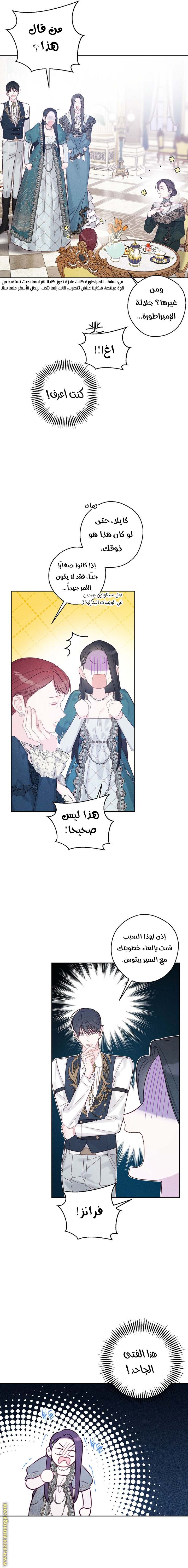 الصفحة 7