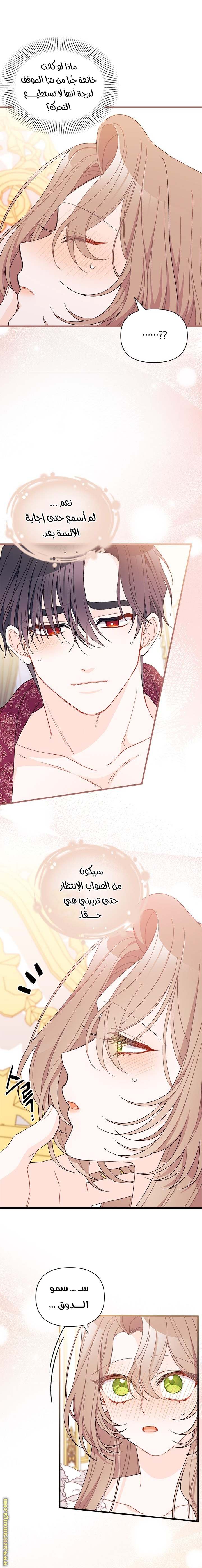 الصفحة 13