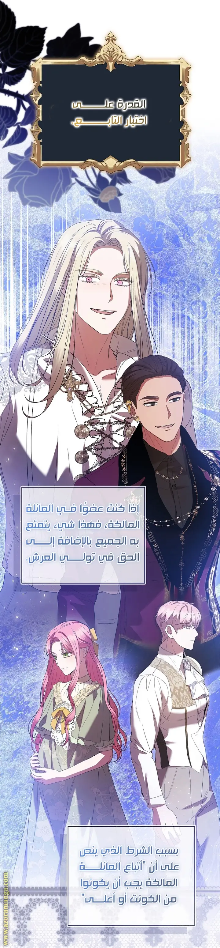 الصفحة 17