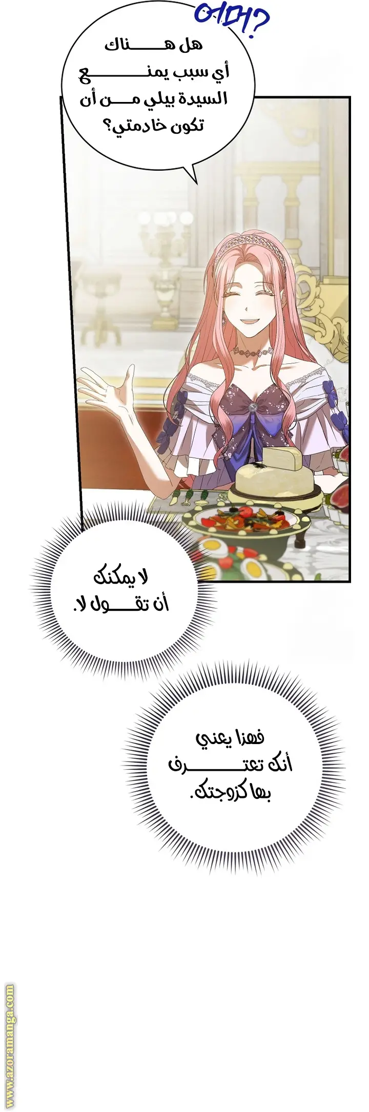 الصفحة 27