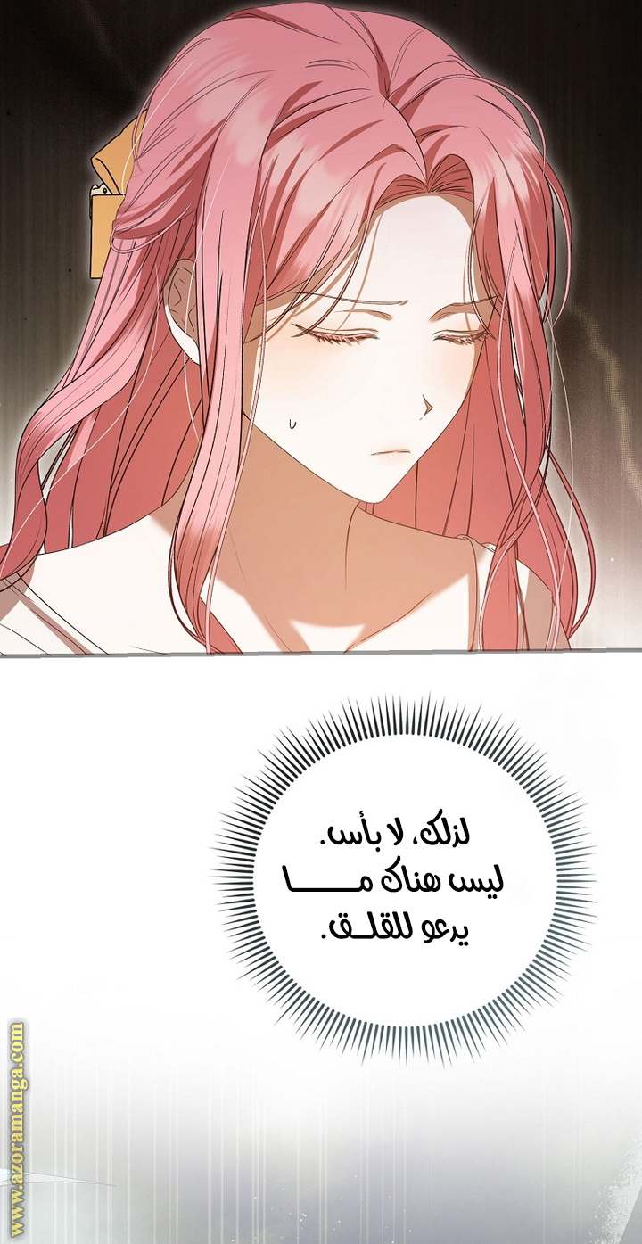 الصفحة 47