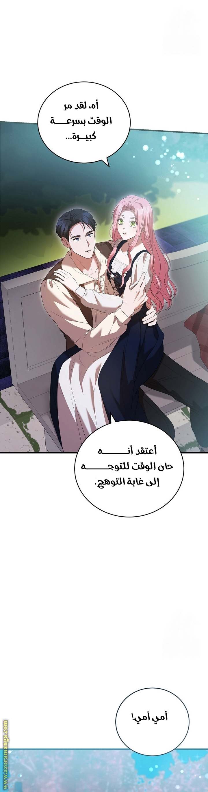 الصفحة 13