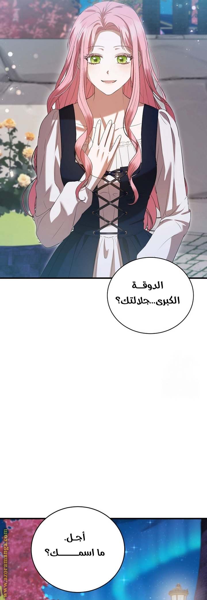 الصفحة 25