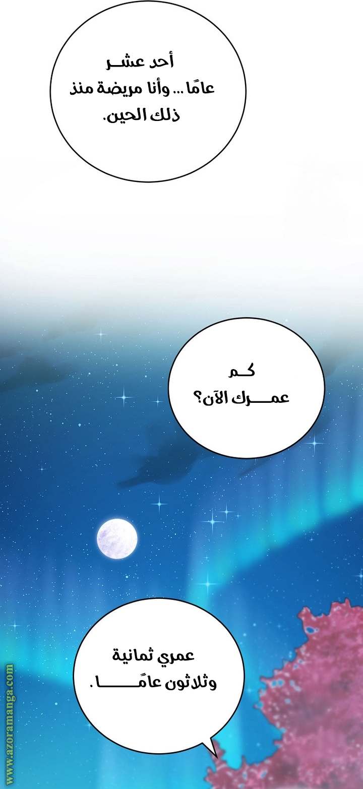 الصفحة 31