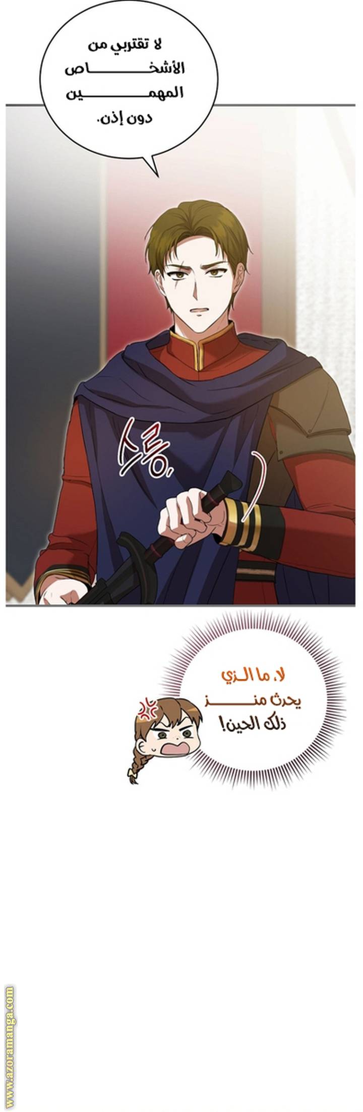 الصفحة 13