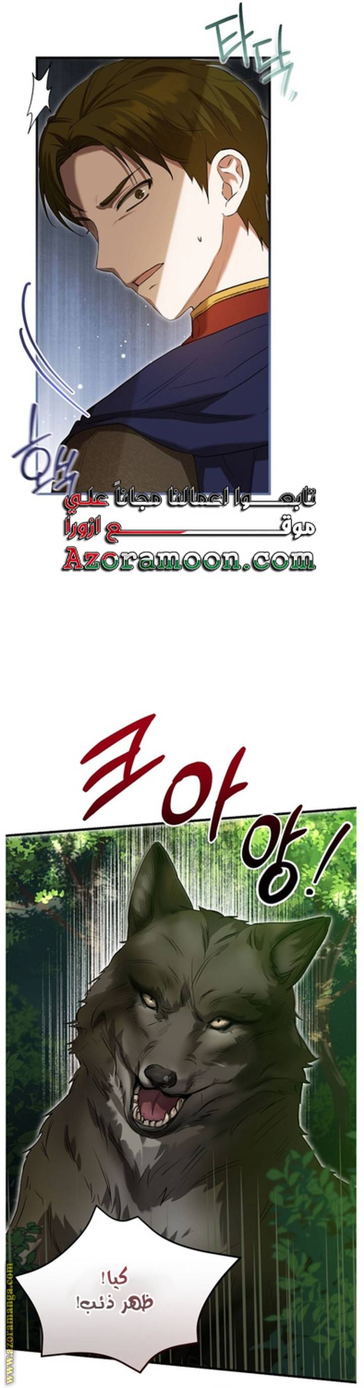 الصفحة 48
