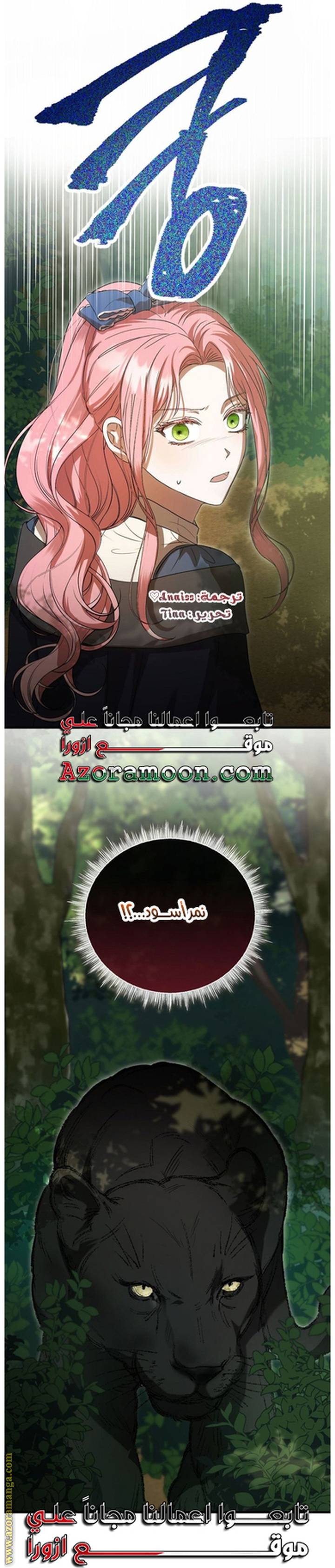 الصفحة 52
