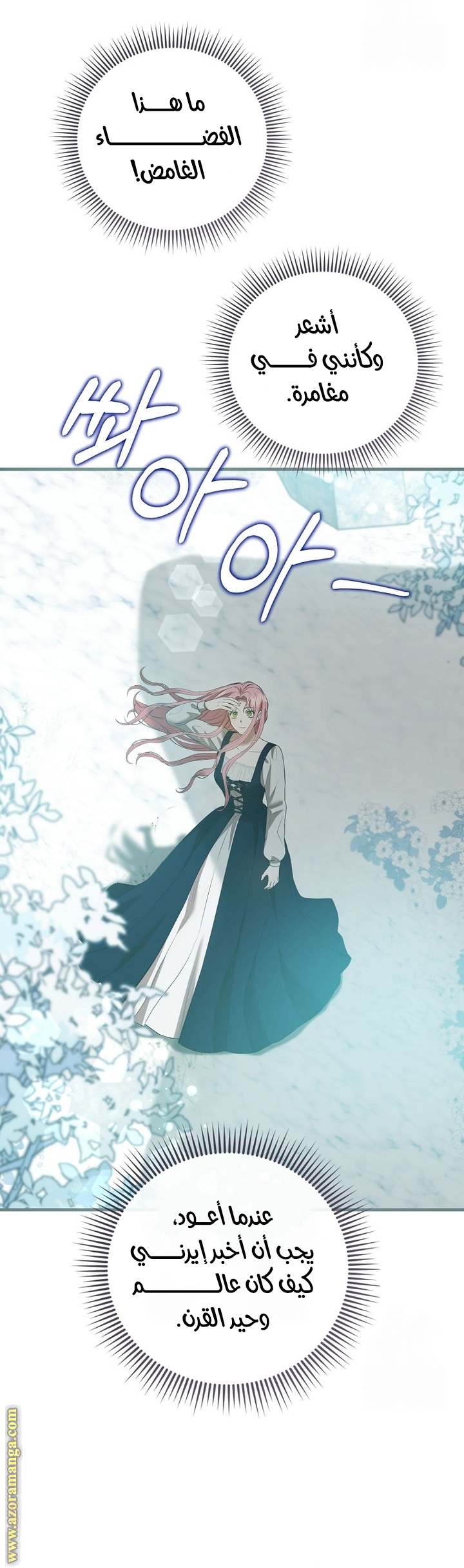 الصفحة 12
