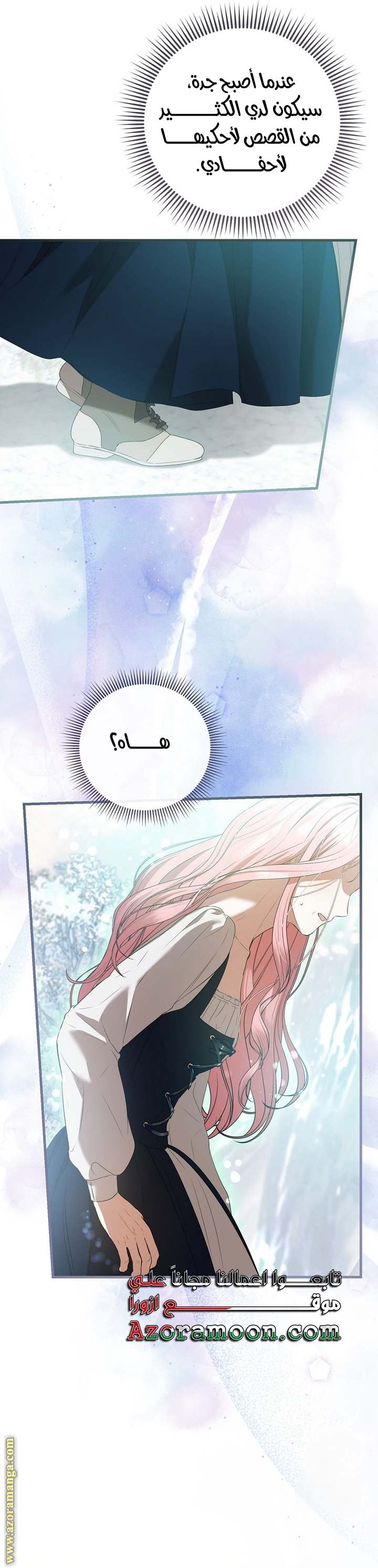 الصفحة 13