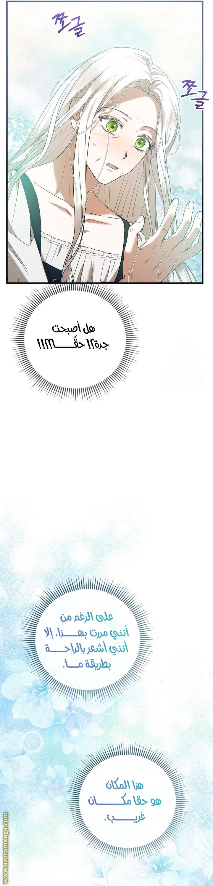 الصفحة 15