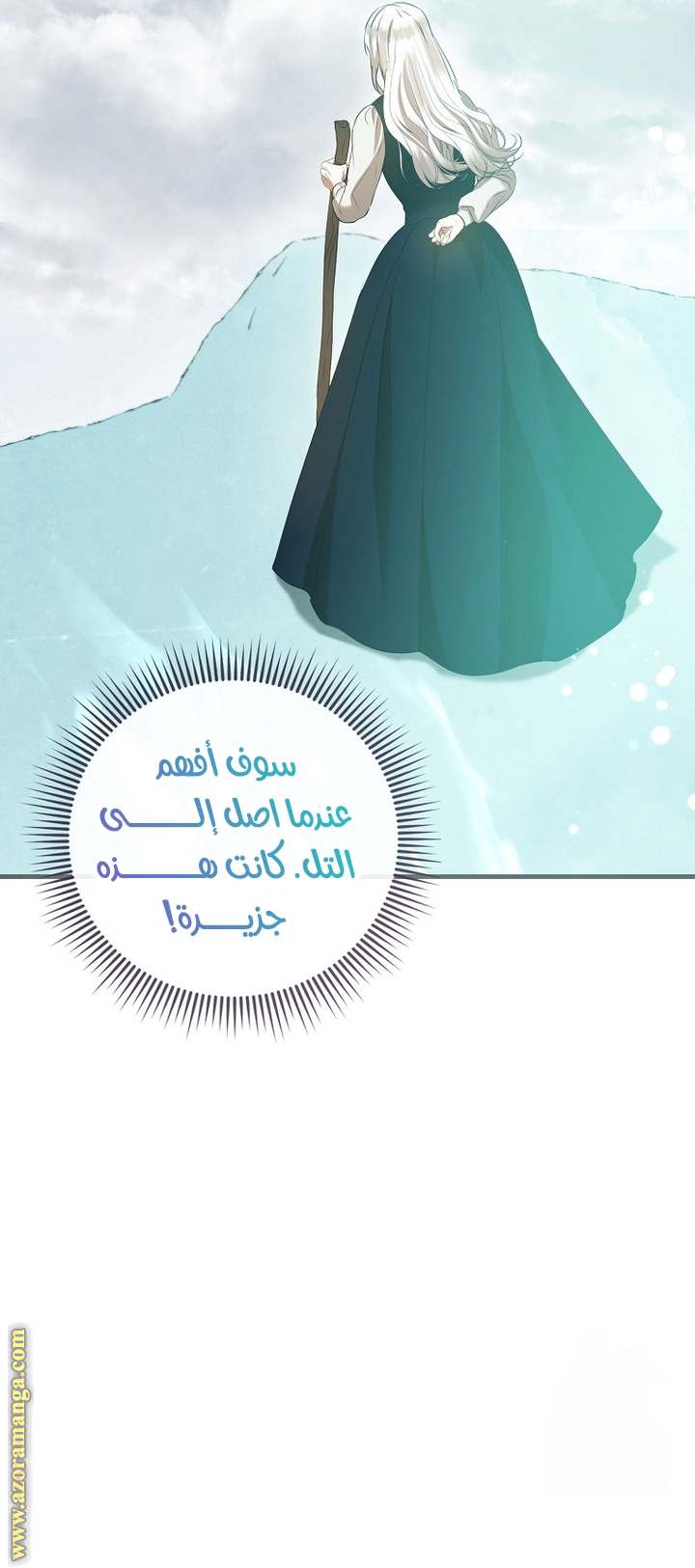 الصفحة 17