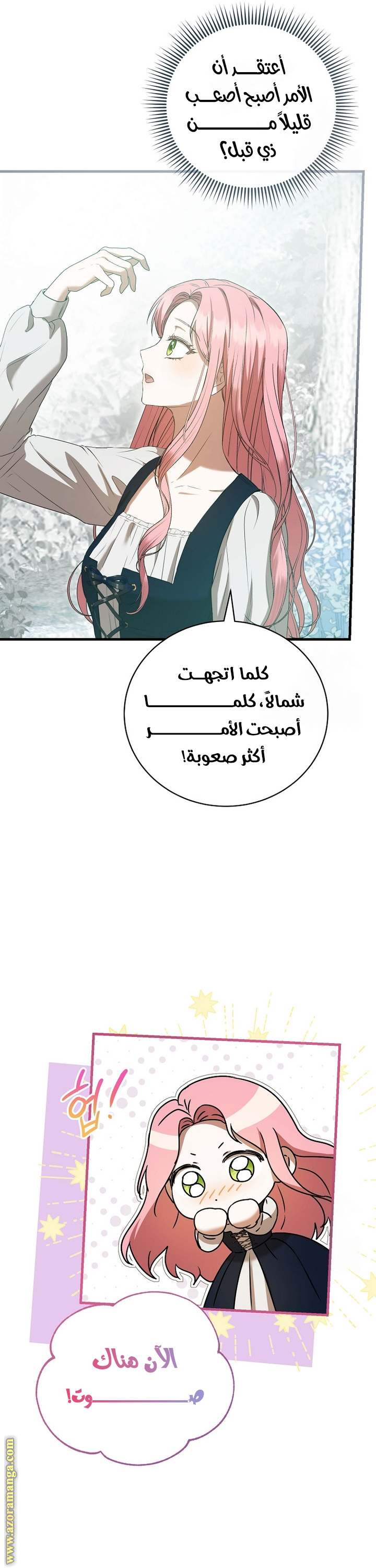 الصفحة 27