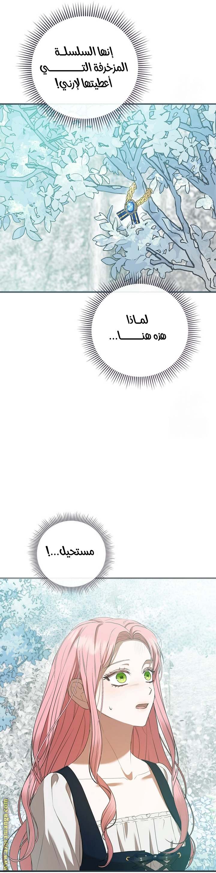 الصفحة 29