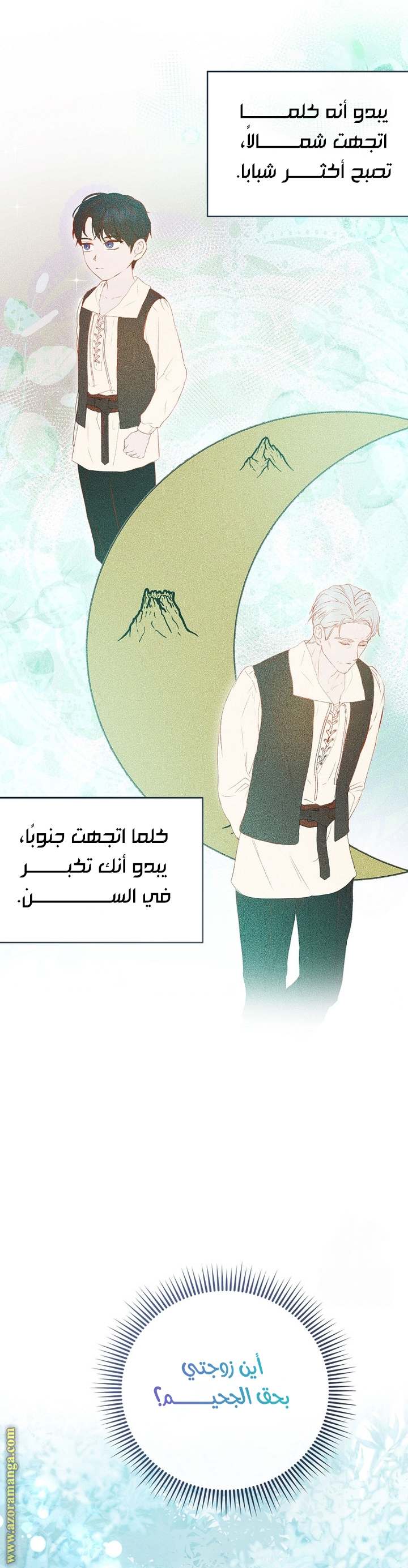 الصفحة 41