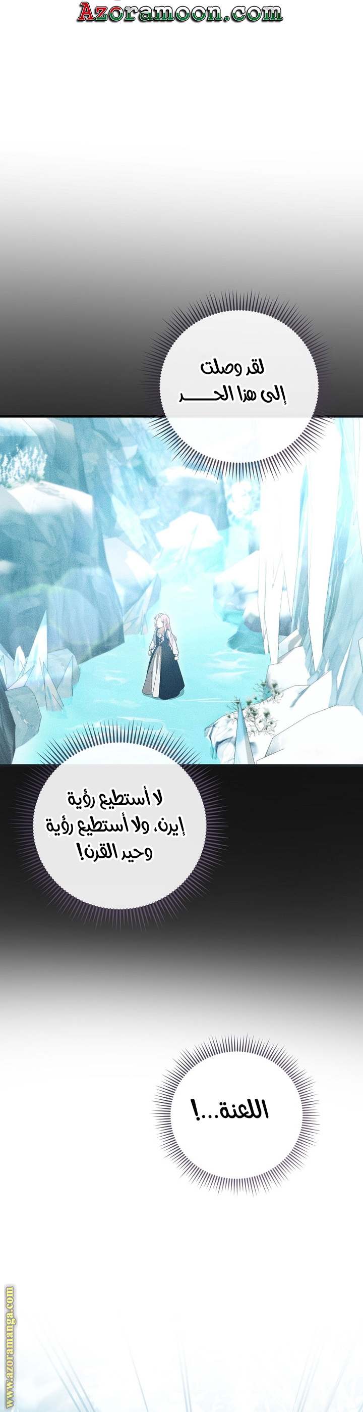 الصفحة 46
