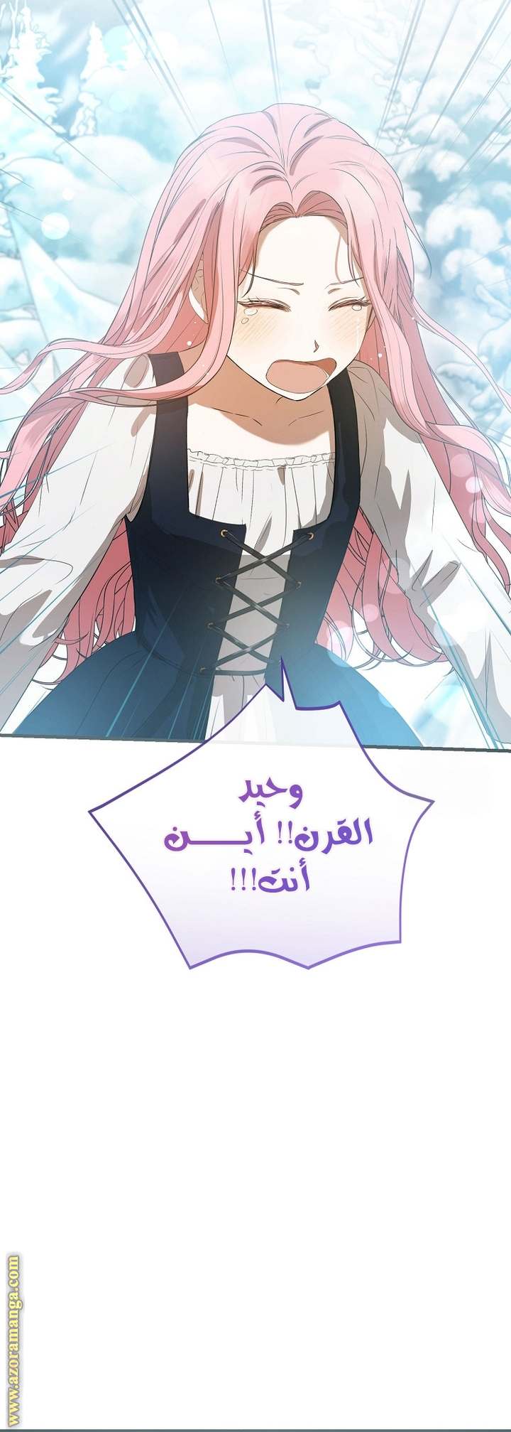 الصفحة 47