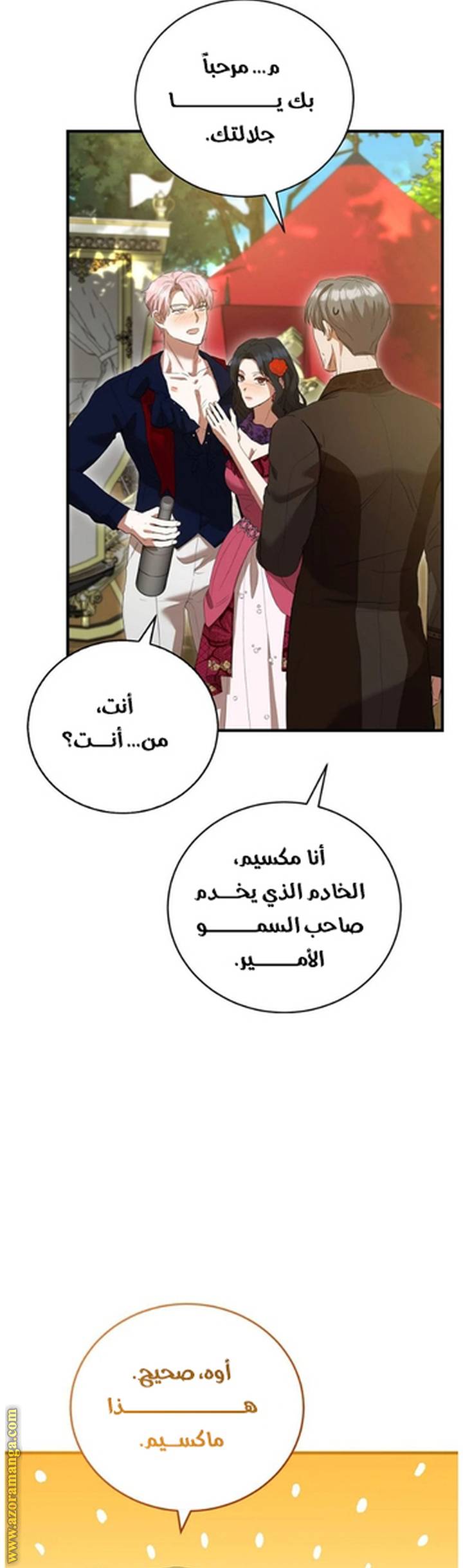 الصفحة 14