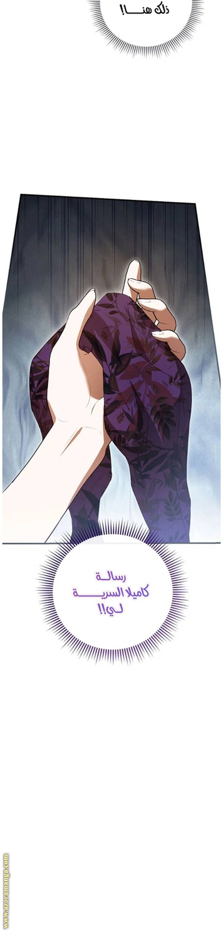 الصفحة 25