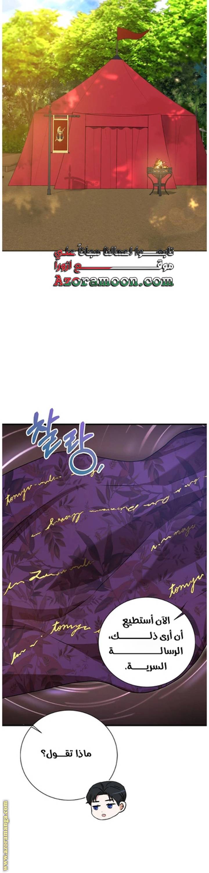 الصفحة 27