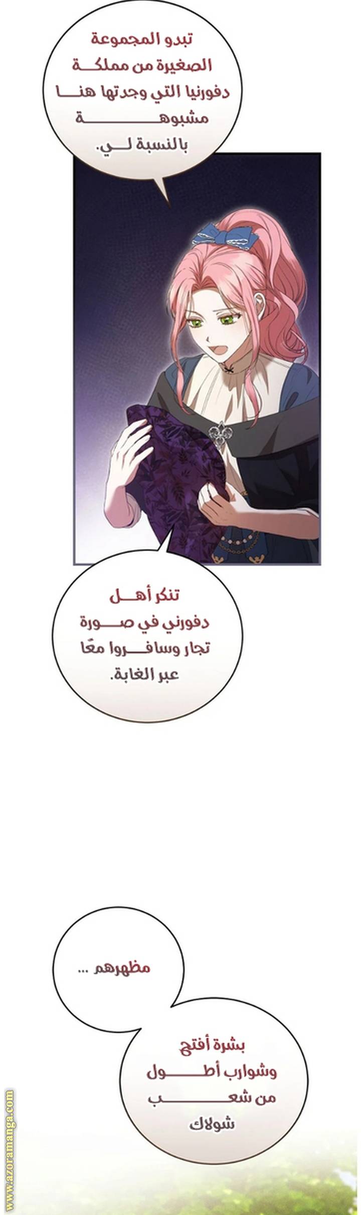 الصفحة 29