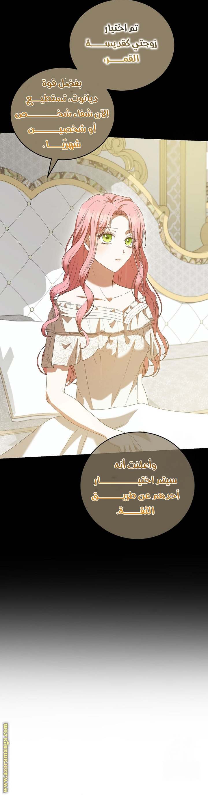 الصفحة 20
