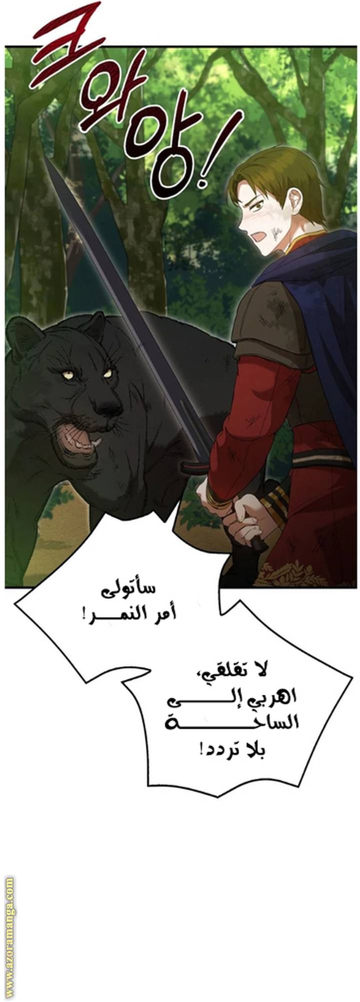 الصفحة 14