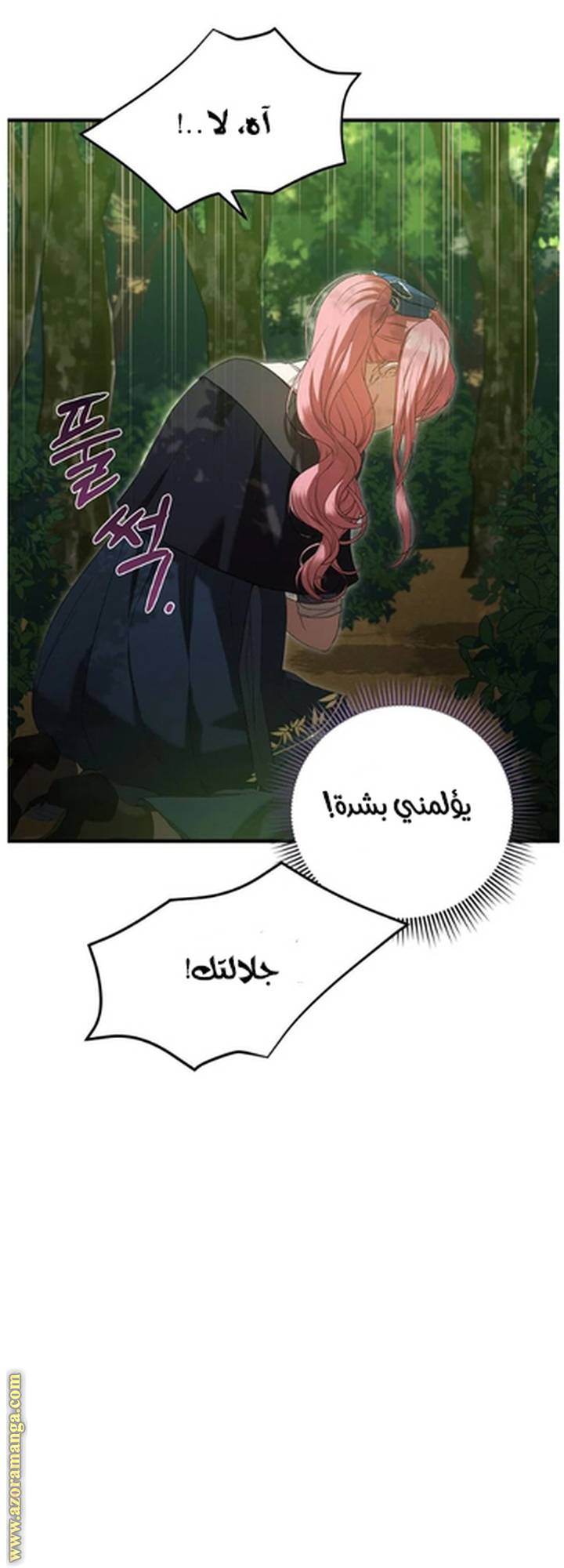 الصفحة 16