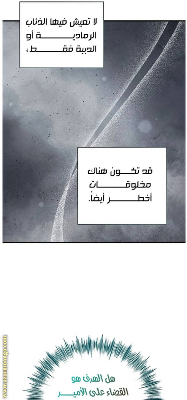 الصفحة 29