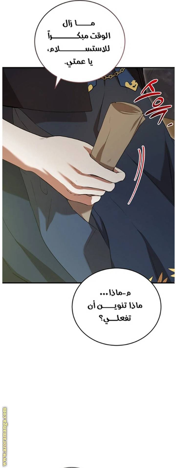 الصفحة 61