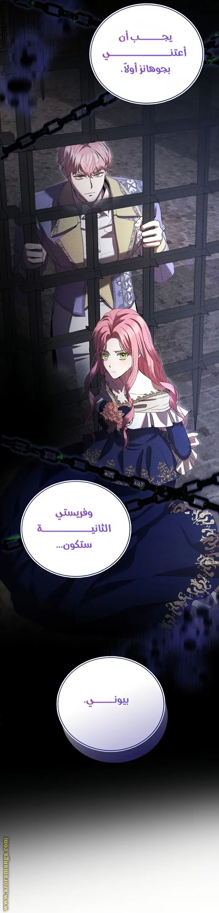 الصفحة 13