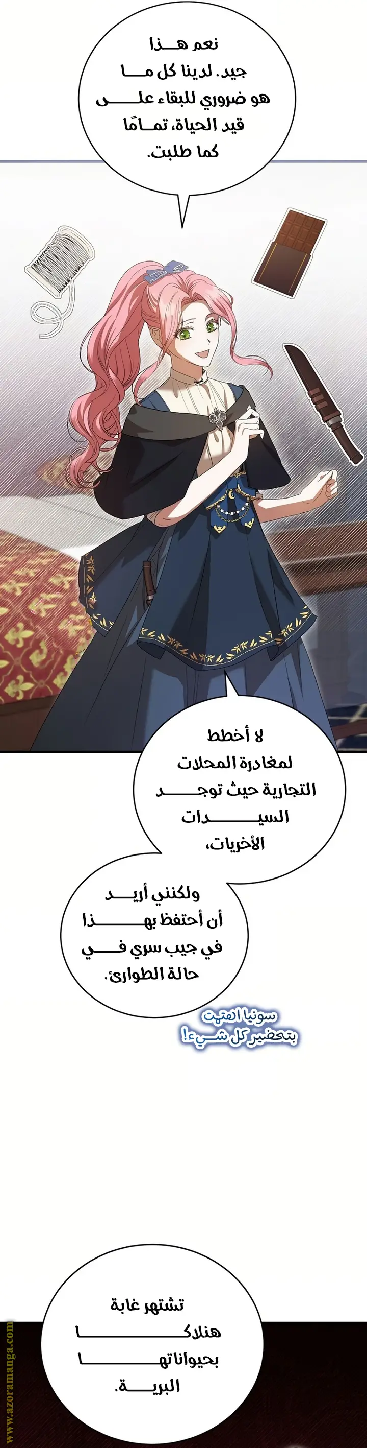 الصفحة 17