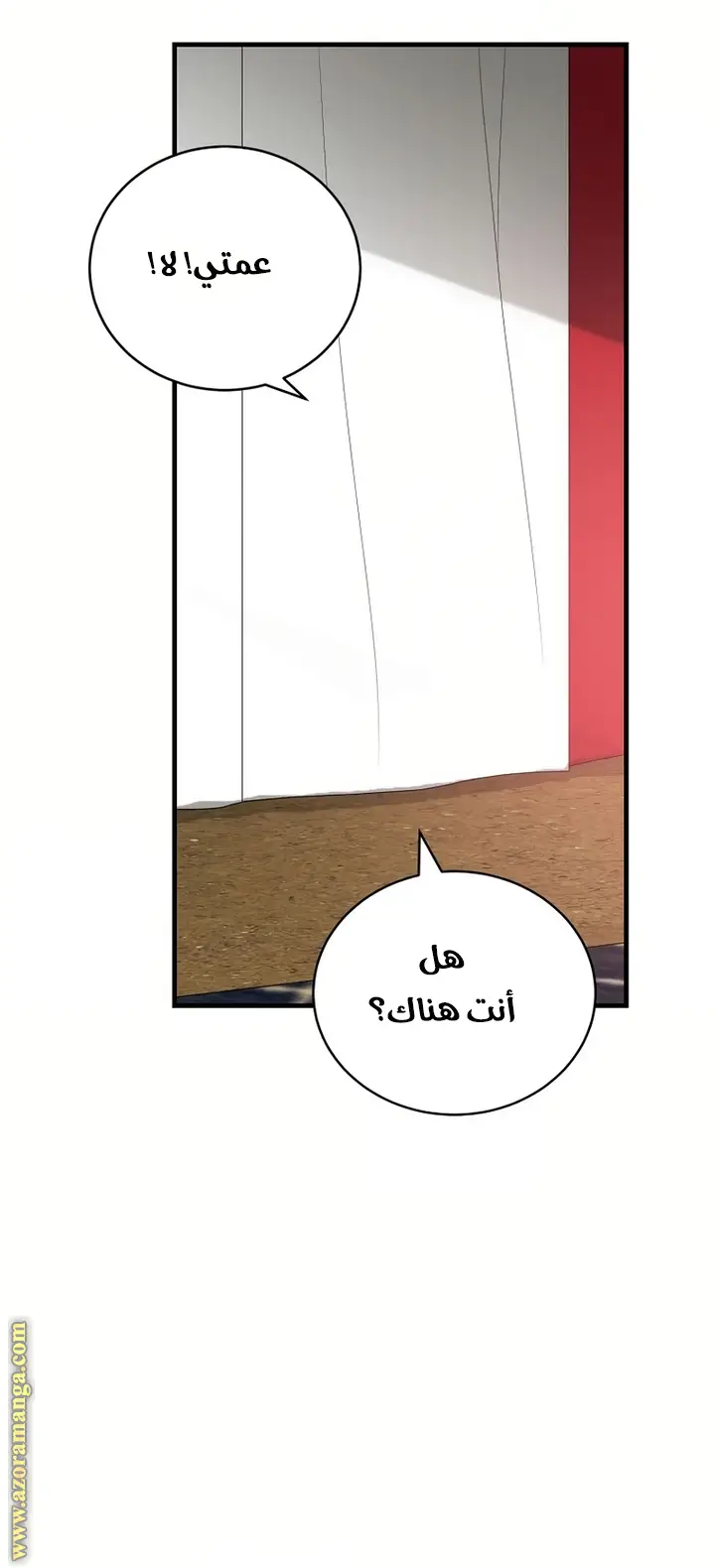 الصفحة 29