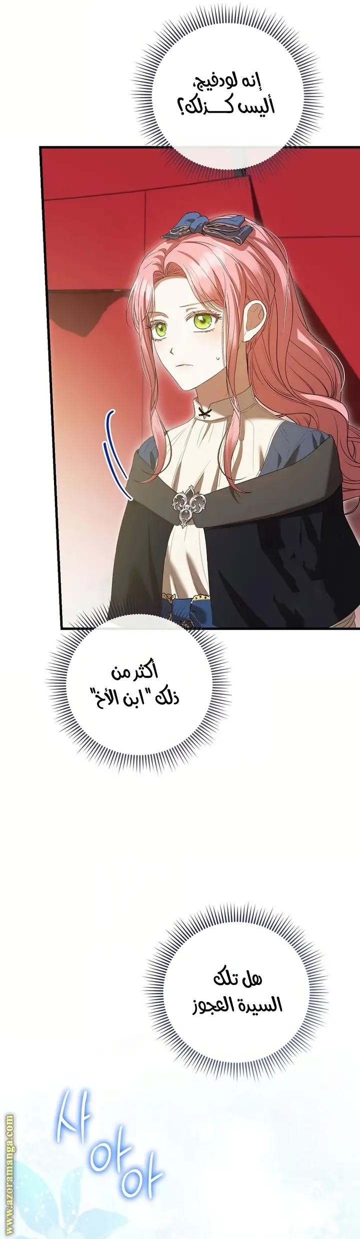 الصفحة 52