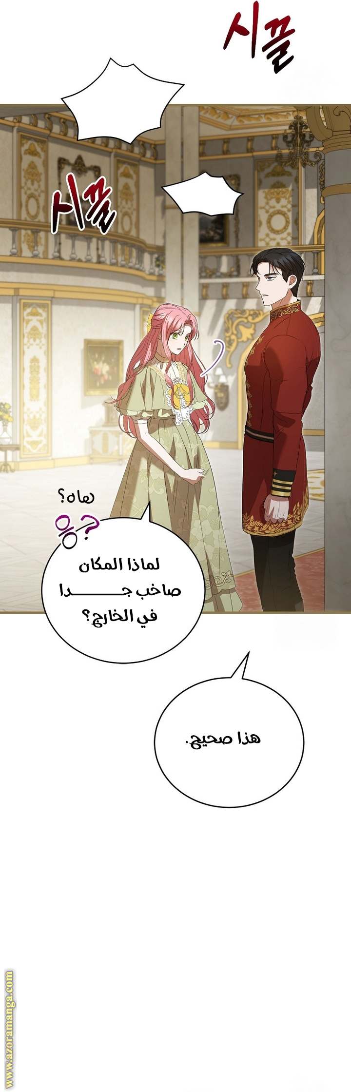 الصفحة 17