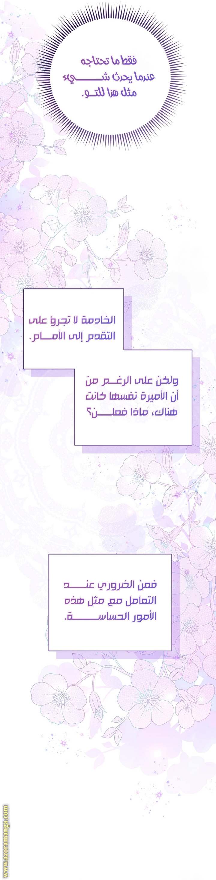 الصفحة 30