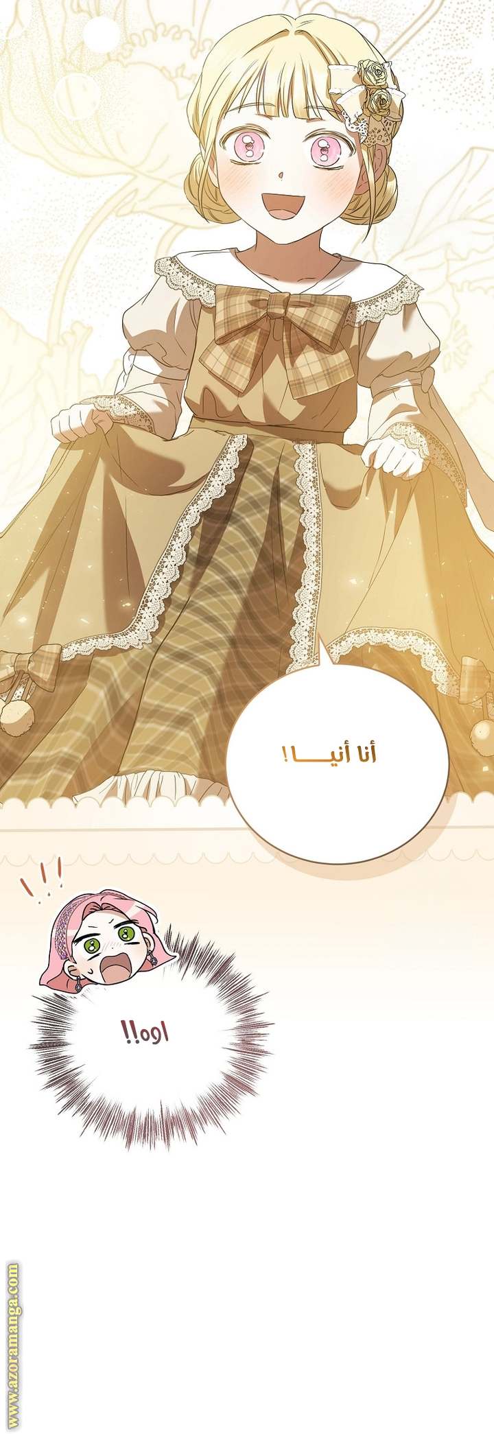 الصفحة 41