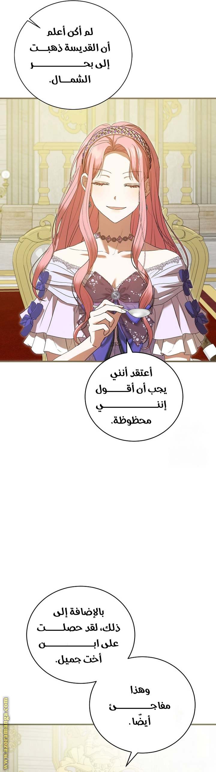 الصفحة 52