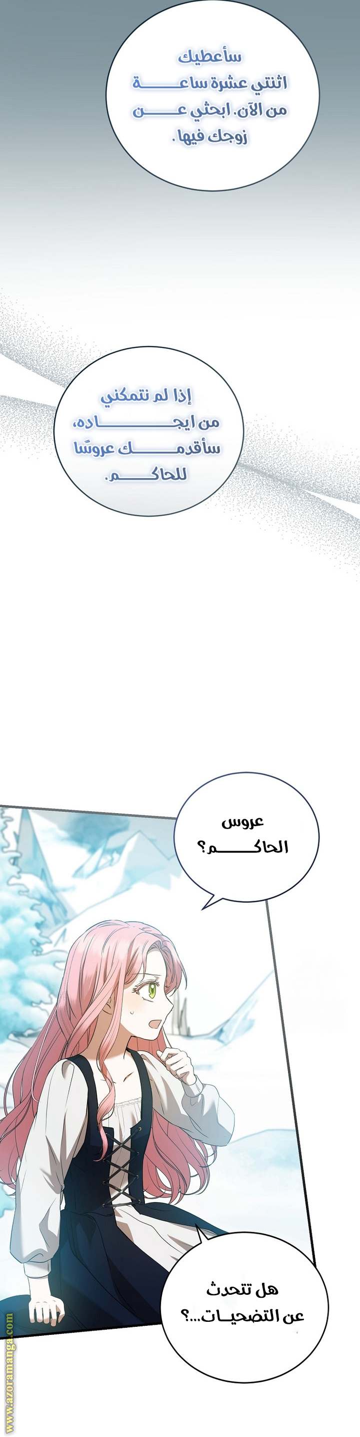 الصفحة 24