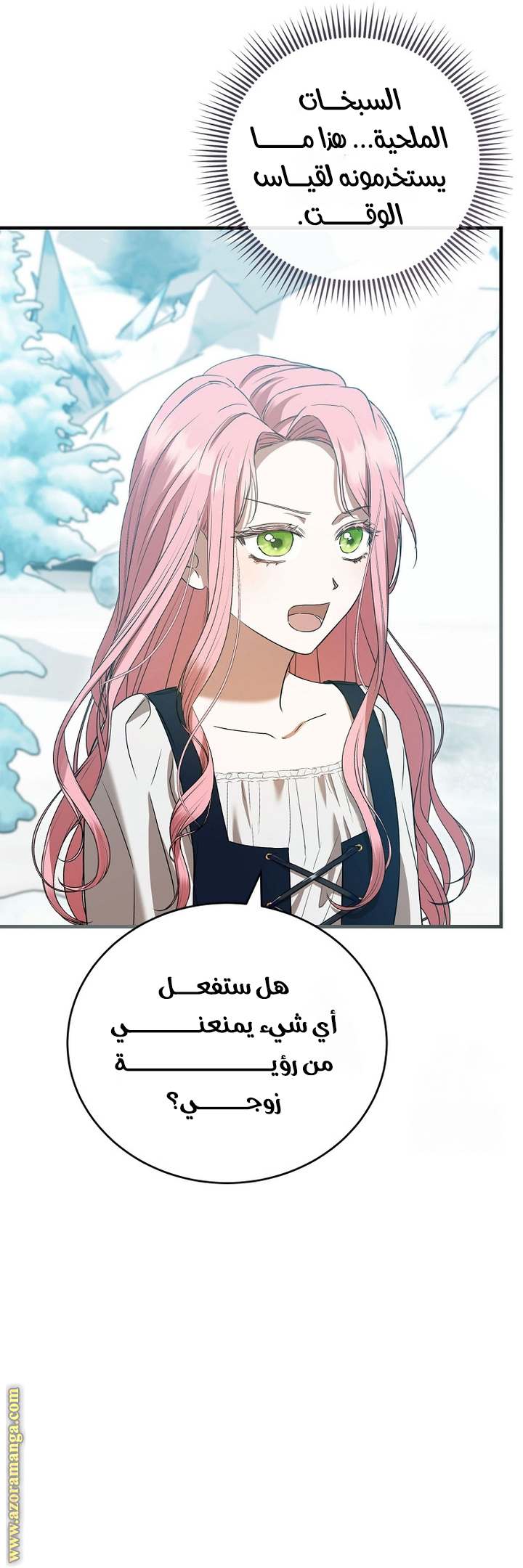 الصفحة 26