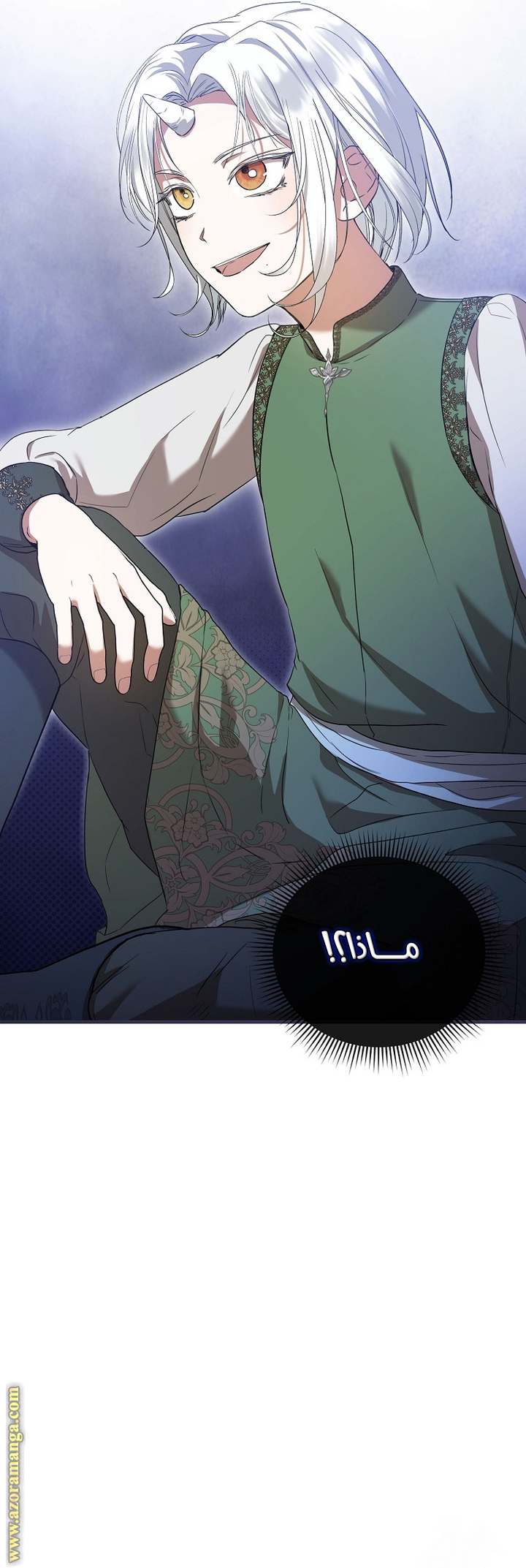 الصفحة 28