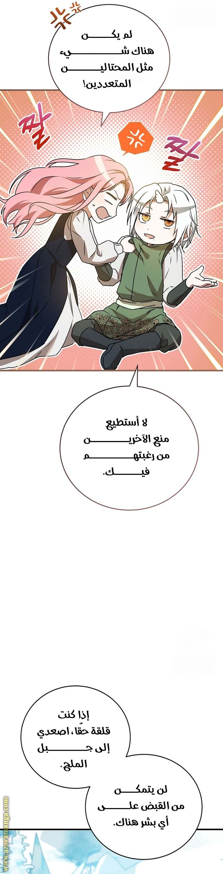 الصفحة 29