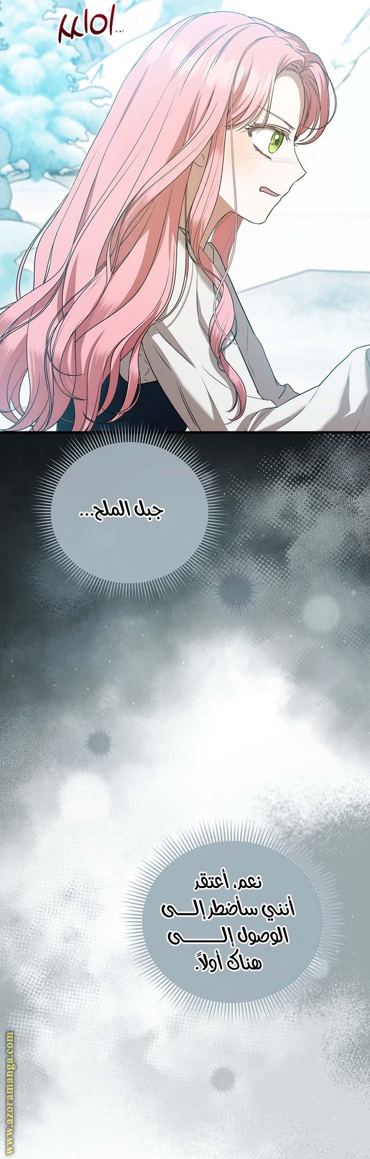 الصفحة 30
