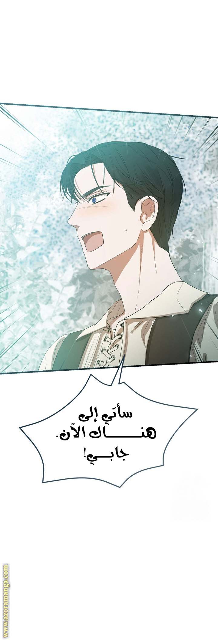 الصفحة 44
