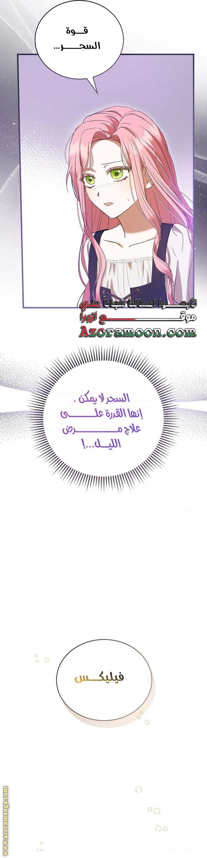 الصفحة 53