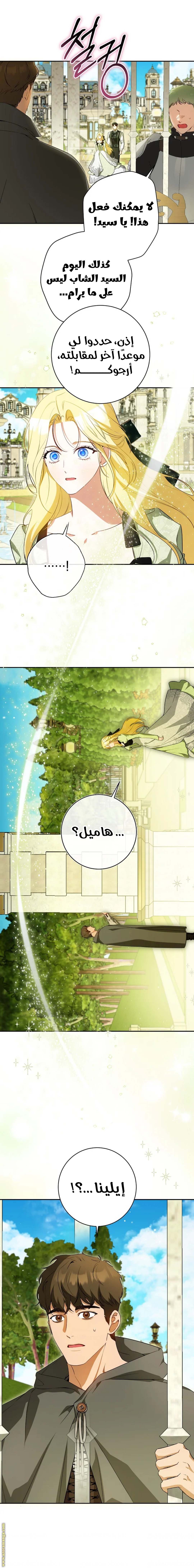 الصفحة 13