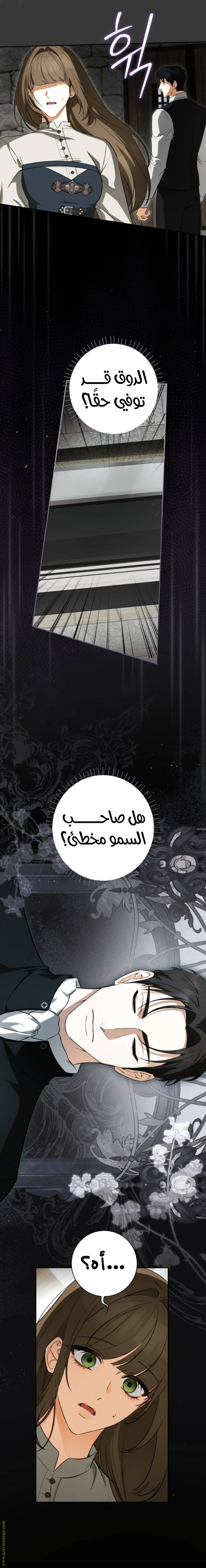 الصفحة 14