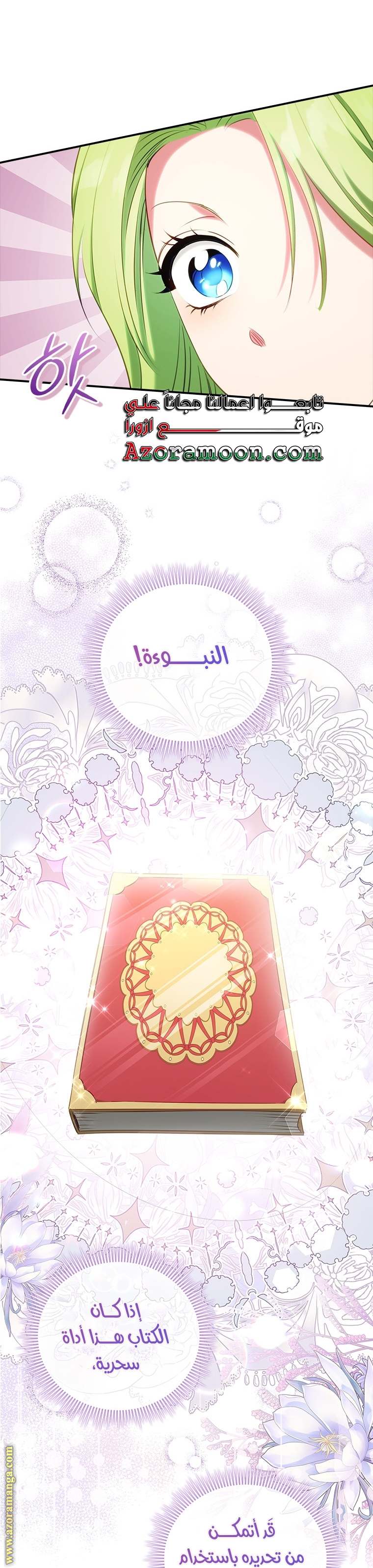 الصفحة 25