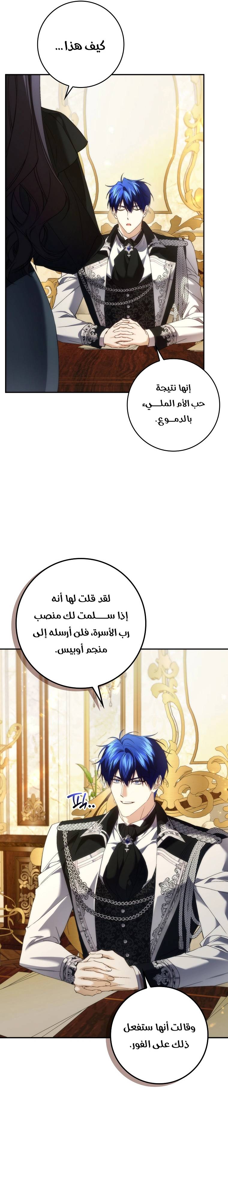 الصفحة 17