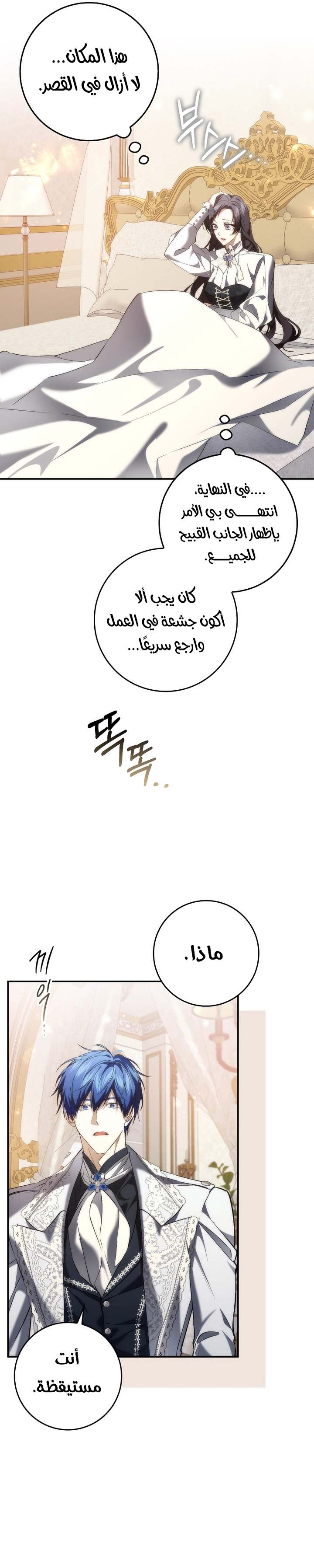الصفحة 24