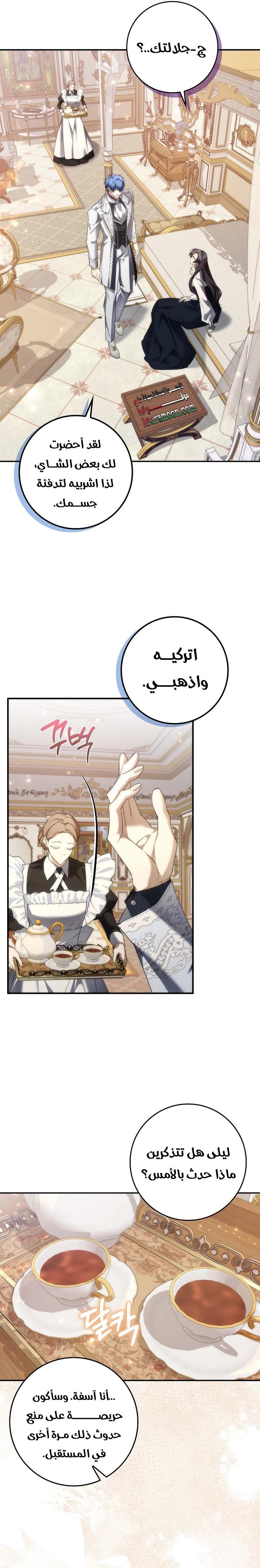 الصفحة 25